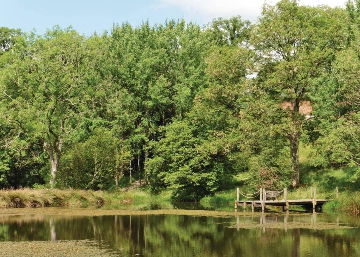 Llanbister Mill Meadow Lodges المظهر الخارجي الصورة
